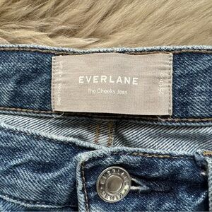 Everlane Cheeky Jean High Waist Ripped Knee Distressed Denim 25 Crop